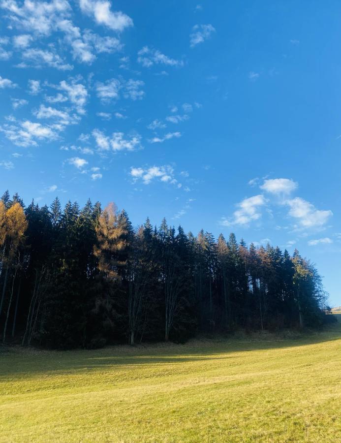 ドノヴァリ Rozpravkovy Domcek Zvoncekヴィラ エクステリア 写真