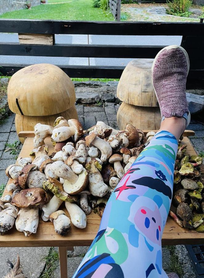 ドノヴァリ Rozpravkovy Domcek Zvoncekヴィラ エクステリア 写真